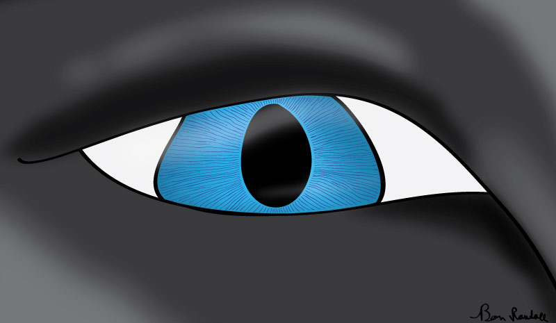 eye