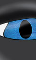 Eye Illustration