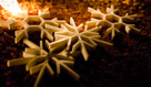 Snowflakes Photograph